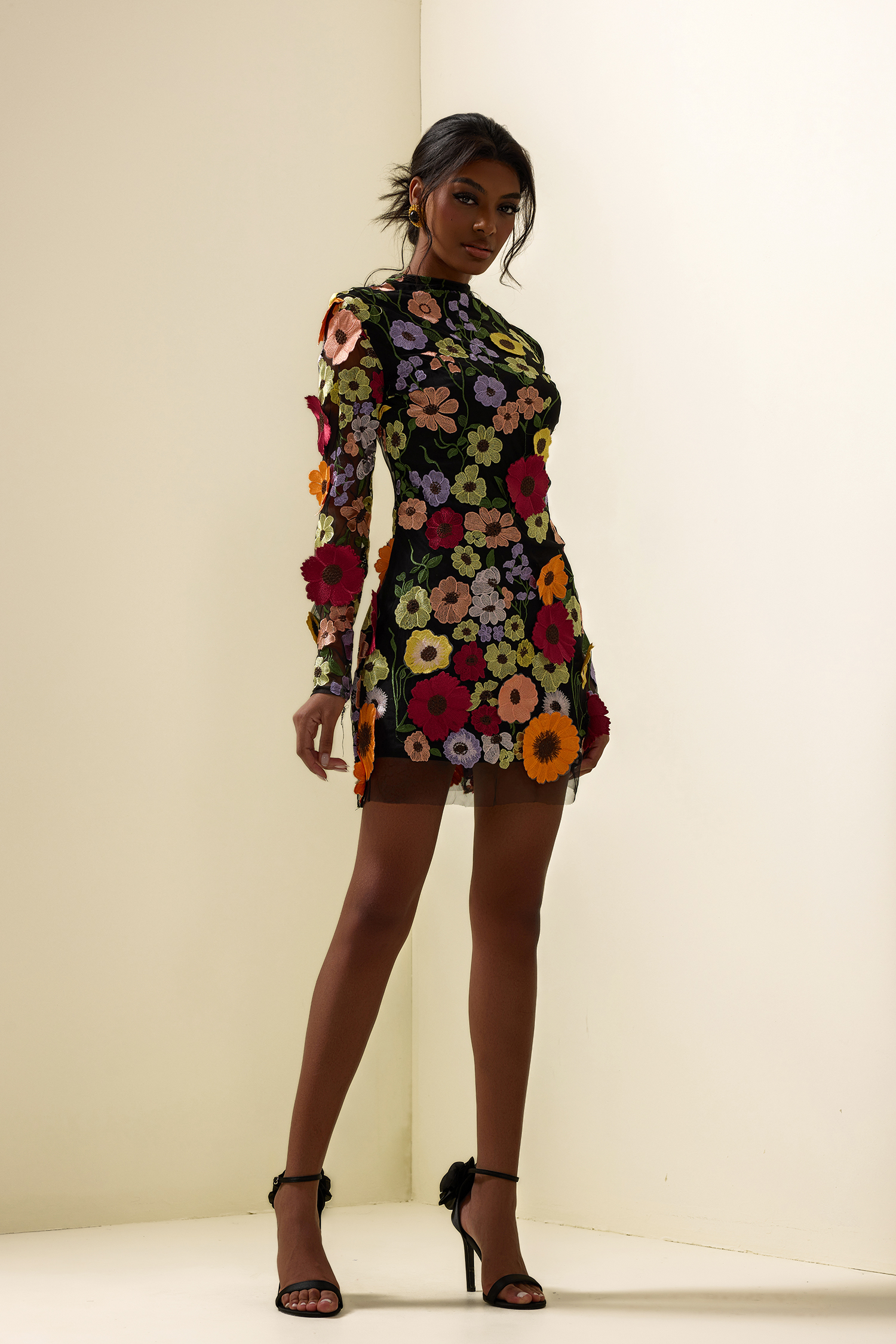 Floral Embroidered Long Sleeve Mini Dress Floral Embroidered Long Sleeve Mini Dress