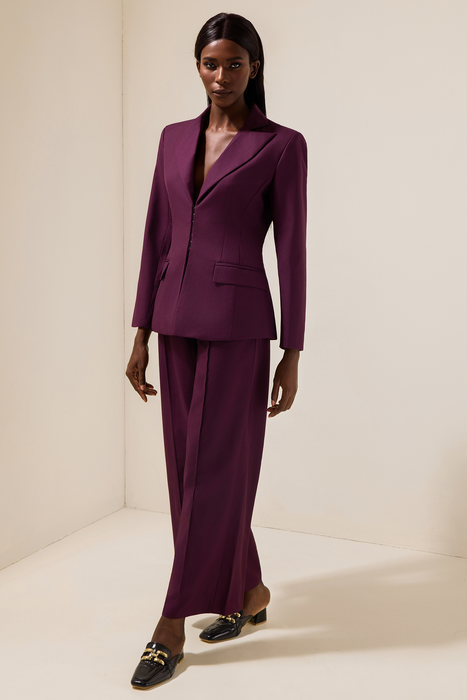 Solid Tailored Collar Blazer & High Waist Loose Pants Set