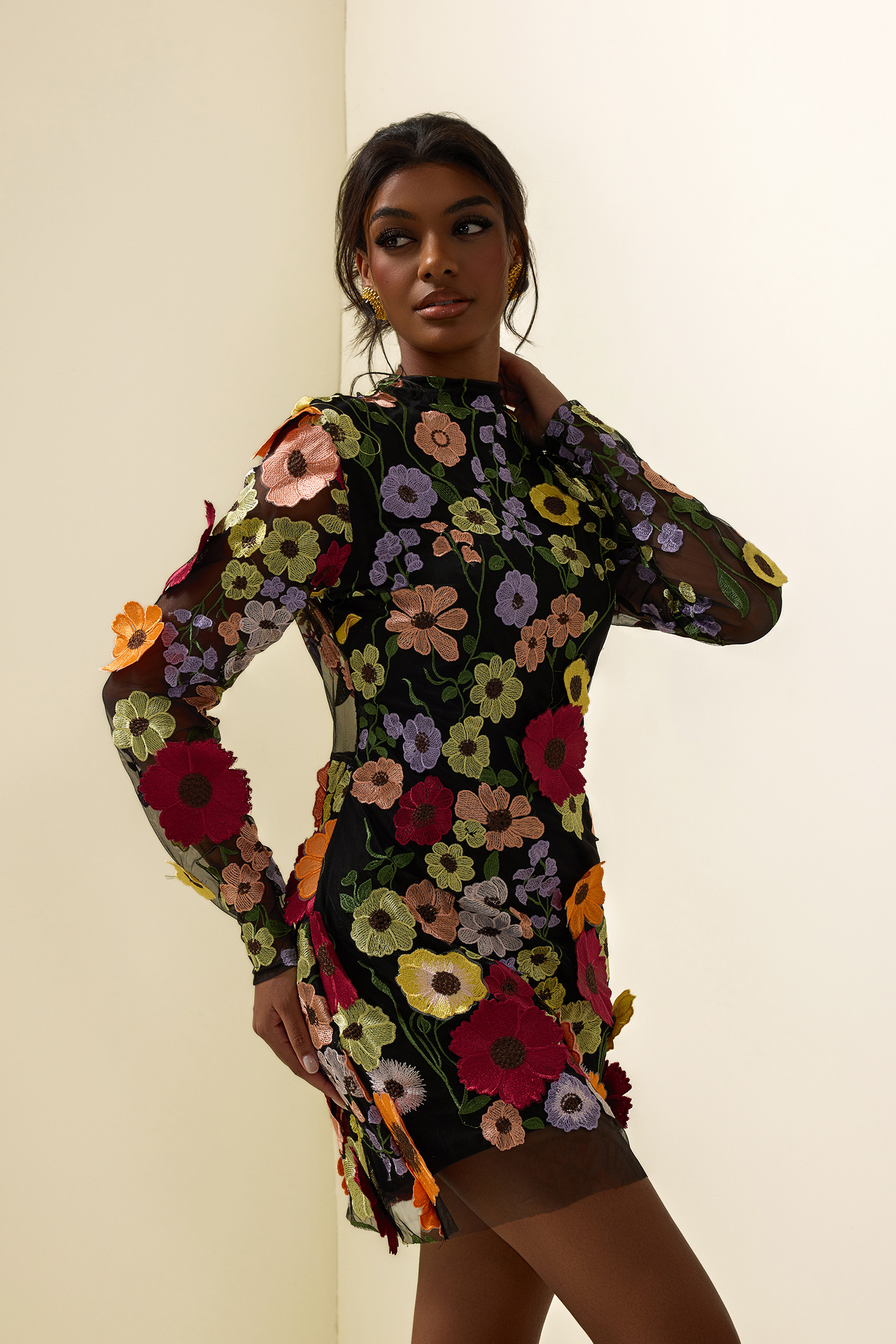 Floral Embroidered Long Sleeve Mini Dress Floral Embroidered Long Sleeve Mini Dress